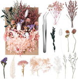 Real Dried Flowers, Natural Dry Flowers Mixed Natural Pressed Flowers Flores Sec Dried Flower
