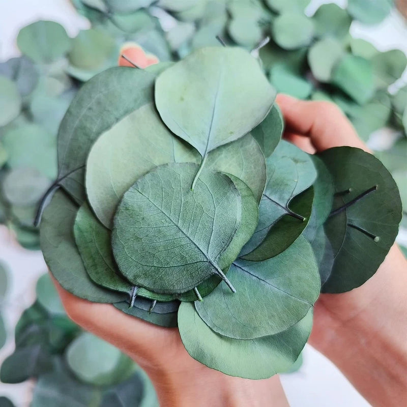 300+ Pcs Dried Real Eucalyptus Leaves, Rustic Boho Wedding Table Decor, Green Green Plant