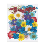 40 Pcs Dried Pressed Flower Leaves Bulk for Resin, Blue Summer Dried Flower