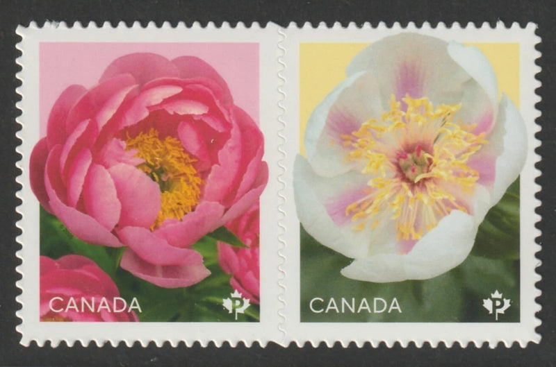 Canada peony stamp pair, die-cut se-tenant, pink and white flowers with gold centers