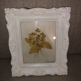 Vintage Pressed Flowers Signed And Framed Dried Flower