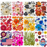 320PCS Dried Pressed Flowers Bulk for Resin, YouthBro Real Natural Pressing Flow Dried Flower