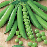 Green Arrow English Pea Seeds - For 2026 Planting Non-GMO USA Garden Vegetable Garden Plants