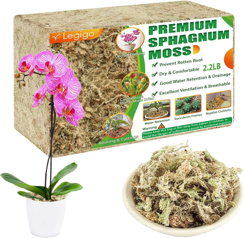 Premium sphagnum moss for planting, loose dried moss in a bowl and bag