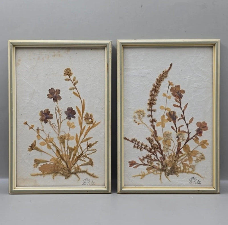 Set of 2 framed pressed dried flowers botanical wall art with gold-toned frames