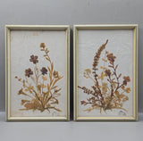 Vtg DINA Set of 2 Framed Pressed Dried Flowers Botanical Wall Art Decor Germany Dried Flower