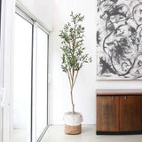 7Õ Olive Minimalist Artificial Tree with Natural Trunk Home Decor. Retail $149 Green Plant