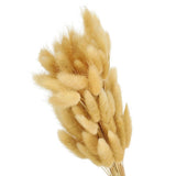 15.7in Bunny Tails Dried Flowers, 120pcs Pampas Grass Decor Rabbit Tail, Beige Dried Flower