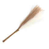 20Pcs Faux Pampas Grass,21"/55cm Fake Pampas Grass Decor,Brown/Cream Pampas Grass