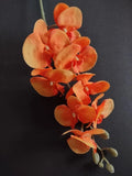 Artificial Phalaenopsis Orchid  flower stem  ORANGE Flowering Plants
