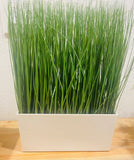 IKEA FEJKA Artificial Potted Plant with White Pot Indoor Outdoor Tall High Grass Green Plant