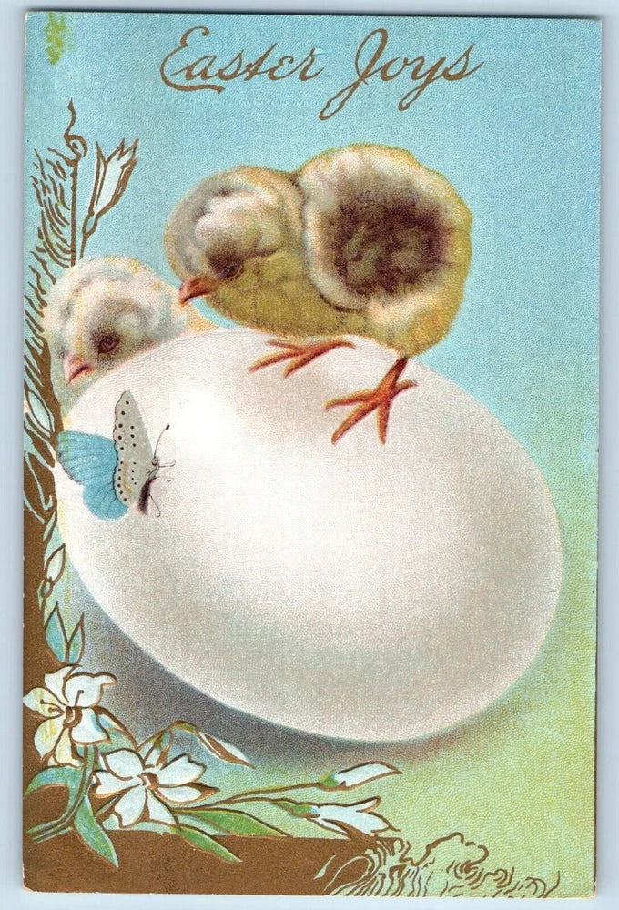 Easter Postcard Baby Chick On Top Of Egg Butterfly Lily Flowers Embossed c1910's Lily