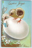 Easter Postcard Baby Chick On Top Of Egg Butterfly Lily Flowers Embossed c1910's Lily