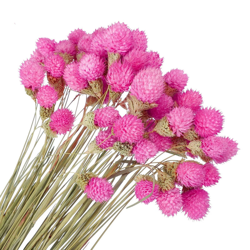60 Pcs 16 Inch Dried Flowers for Vase Mini Pine Ball Flowers Rose Red Dried Flower