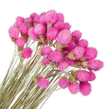 60 Pcs 16 Inch Dried Flowers for Vase Mini Pine Ball Flowers Rose Red Dried Flower