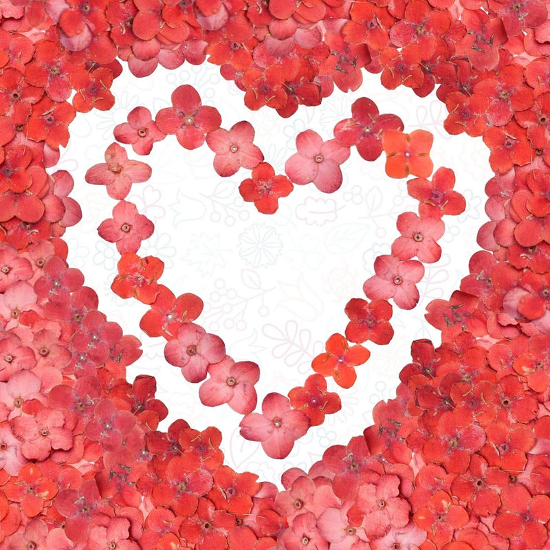 Red Pressed Flowers for Resin & Crafts Ð 100% Natural Ð 100/200/400 Flowers Dried Flower
