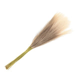 20Pcs Faux Pampas Grass,21"/55cm Fake Pampas Grass Decor,Gradual Brown Pampas Grass
