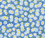 Fabric 100% Cotton Daisy Daisies Spring Floral FQ HY BTY Fat Quarter By the Yard Flowering Plants