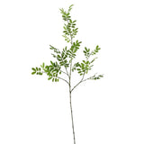Artificial Wisteria Plant Fake Leaf Long Branch For Indoor Outdoor / Home Decor Green Plant