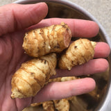 Gigant Organic Sunchoke / Jerusalem Artichoke - Helianthus tuberosus Sunflower