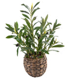 Indoor Fake Olive Plants 17.7 inches Tall Lifelike Artificial Olive Plants wi... Green Plant