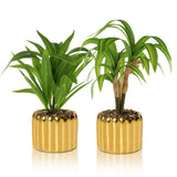 2 Pcs Artificial Dracaena Plant Golden Ceramic Pot Realistic Textured Faux Pl... Green Plant