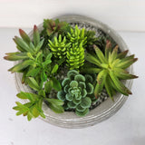 Artificial Succulent Arrangement in Concrete Pot Faux Plant Decor Home Office Green Plant