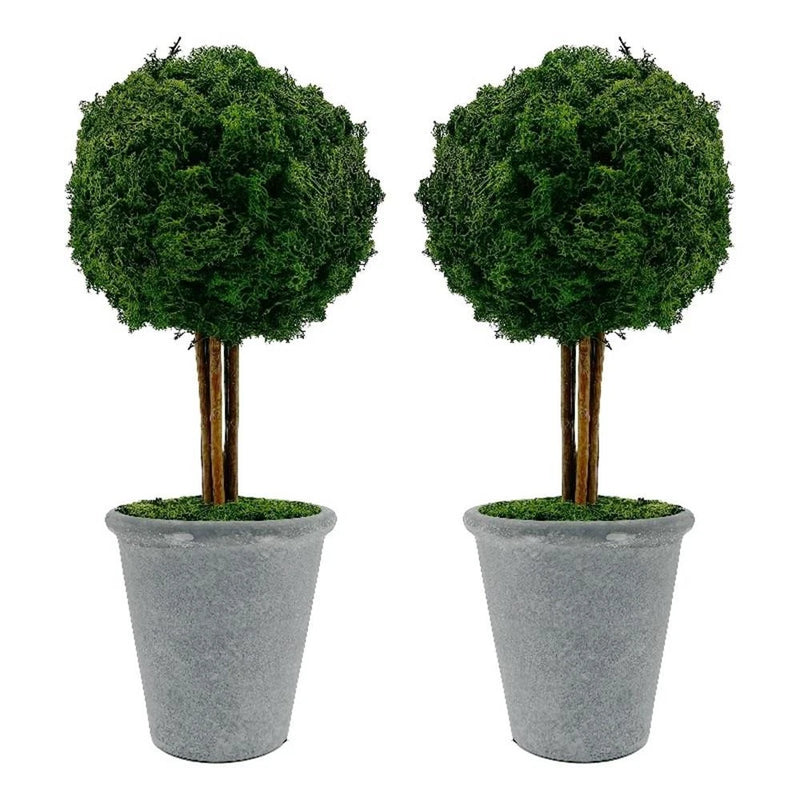 Bergamo Art Preserved 16 Inch Reindeer Moss Ball Potted Topiary Tree Pair Green Green Plant