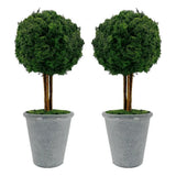 Bergamo Art Preserved 16 Inch Reindeer Moss Ball Potted Topiary Tree Pair Green Green Plant