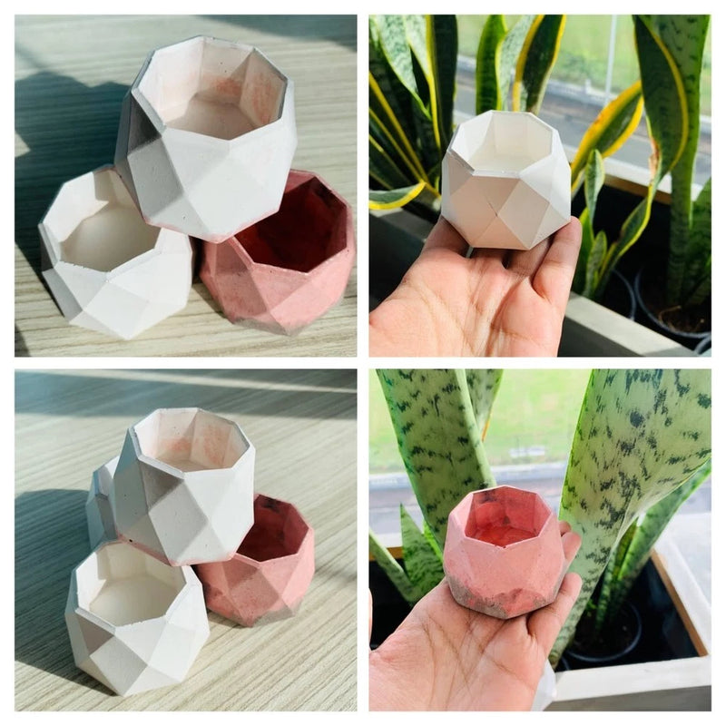 Mini Succulent Plant Pots Geometric Shape DŽcor Indoor Home Garden Cute set of 4 Garden Plants