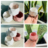 Mini Succulent Plant Pots Geometric Shape DŽcor Indoor Home Garden Cute set of 4 Garden Plants