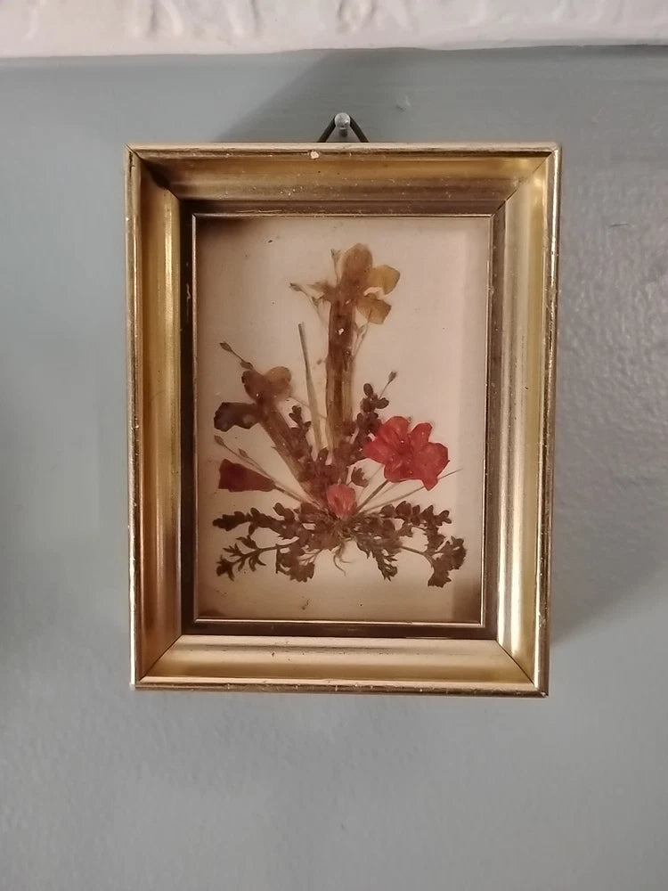Framed pressed flower wall art with dried red and tan blooms in a gold border
