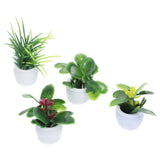 4 Pcs Mini Plant Model Garden Decorations Dollhouse Miniature Flower Ornaments Green Plant