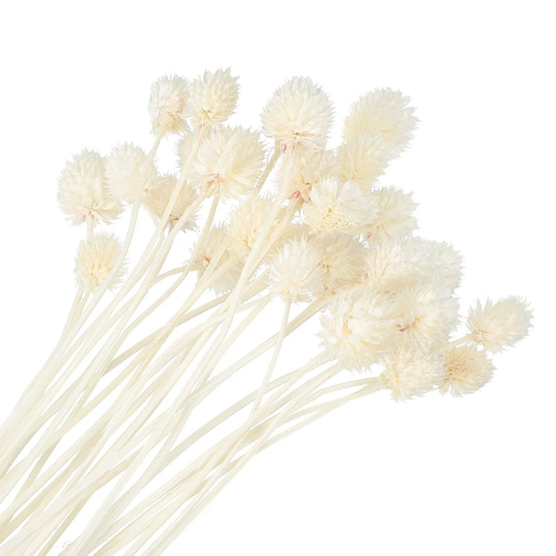 30 Pcs 16 Inch Dried Flowers for Vase Mini Pine Ball Flowers White(Stem) Dried Flower