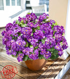 Fake Purple Geraniums Outdoor Plants, 6 Bundles UV Resistant Silk Flowers Green Plant