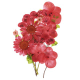 Dried Pressed Flowers Real Dry Leaves Pressed Blossom for DIY Crafts Multicolor Dried Flower