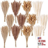300 PCS Dried Flower Bouquet Ð Pampas Grass, Floral Decor for Home, 300PCS Pampas Grass