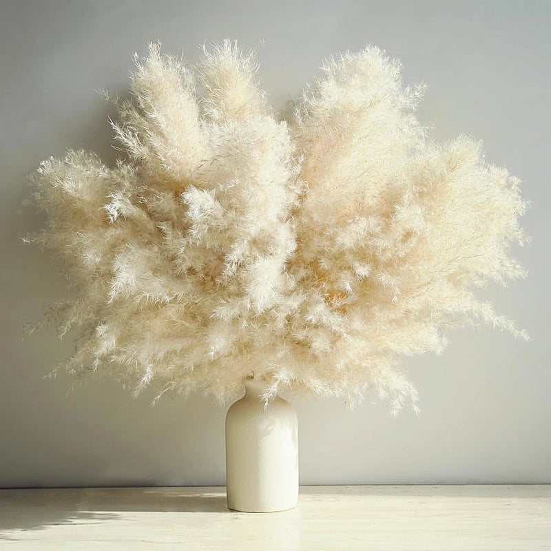 10 Stems Beige Pampas Grass Decor, Natural Dried 10 PCS - 1 Variety, Pampas Grass
