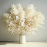 10 Stems Beige Pampas Grass Decor, Natural Dried 10 PCS - 1 Variety, Pampas Grass