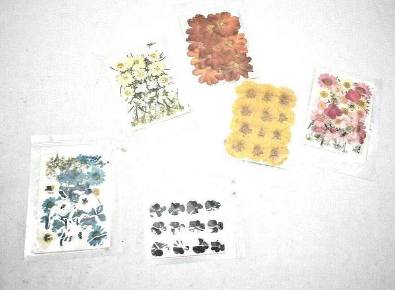Assorted pressed dried flower leaves set in clear sleeves, mixed white, yellow, pink, blue.