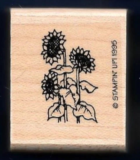 Sunflower rubber stamp block with three flower heads and stems, Stampin' Up!