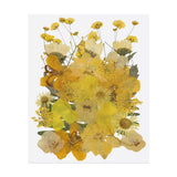 30 Pcs Dried Pressed Flower Leaves Bulk for Resin, Fragrant Series Bright Yellow Dried Flower