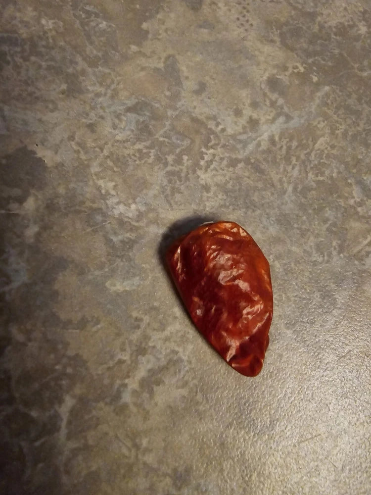 1 Dried Out YELLOW DATIL PEPPER With Seeds FL Garden Plants