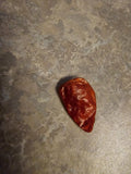 1 Dried Out YELLOW DATIL PEPPER With Seeds FL Garden Plants
