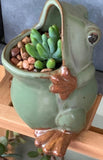 Ceramic Frog Shaped Plant Pot Bonsai Pot Flower Pot Succulent Planter Flowering Plants