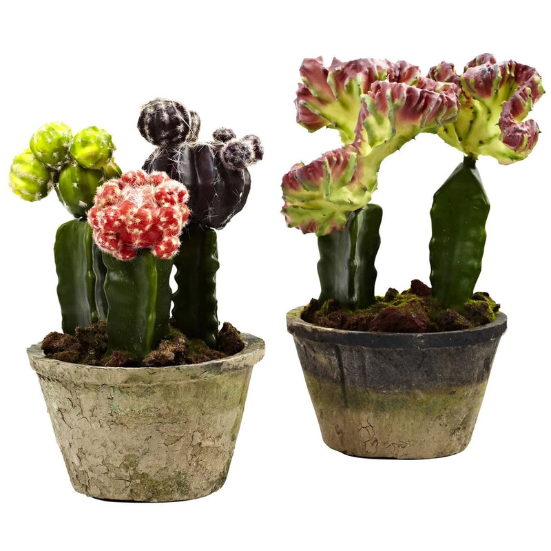 ARTIFICIAL RED PURPLE GREEN CACTUS REALISTIC FAKE TROPICAL PLANTS - (SET OF 2) Green Plant