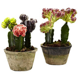 ARTIFICIAL RED PURPLE GREEN CACTUS REALISTIC FAKE TROPICAL PLANTS - (SET OF 2) Green Plant