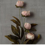 Michael's Ashland Tan Peony Stems Set of 4 Ð TikTok Viral Faux Floral Arrangemen Peony