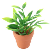 1/6 Scale Dollhouse Miniatures Mini Green Plants Potted Plant Tree Greenhouse Green Plant