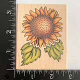 Rubber Stampede Sunflower Designs Flower 770F Wood Mounted Rubber Stamp Sunflower